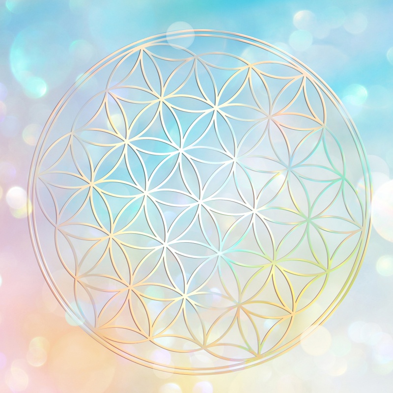 香りは、生命の言語であり、魂の記憶｜Herbal Intelligence ─ フランス式アロマテラピーの哲学