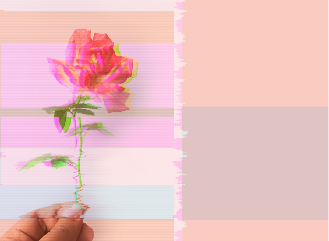 フィールドで共鳴する花のイメージ
