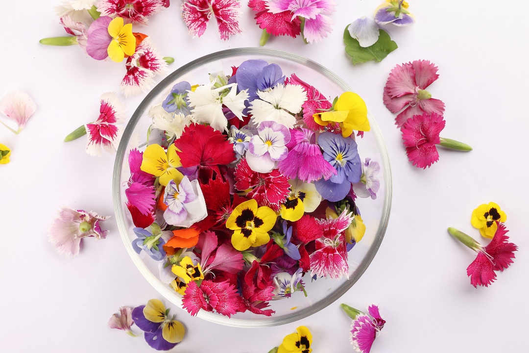 花のレシピのイメージ