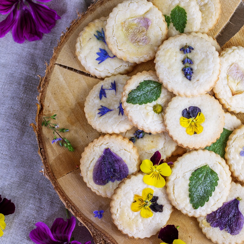 Herbal study in Japan